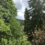 Waldhexe