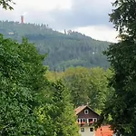 Waldhexe