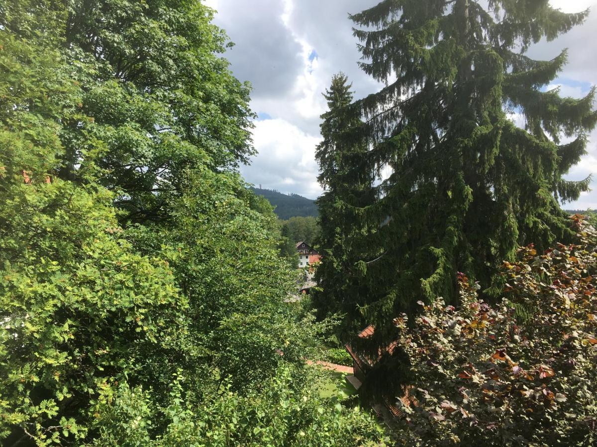 Waldhexe Appartement Braunlage