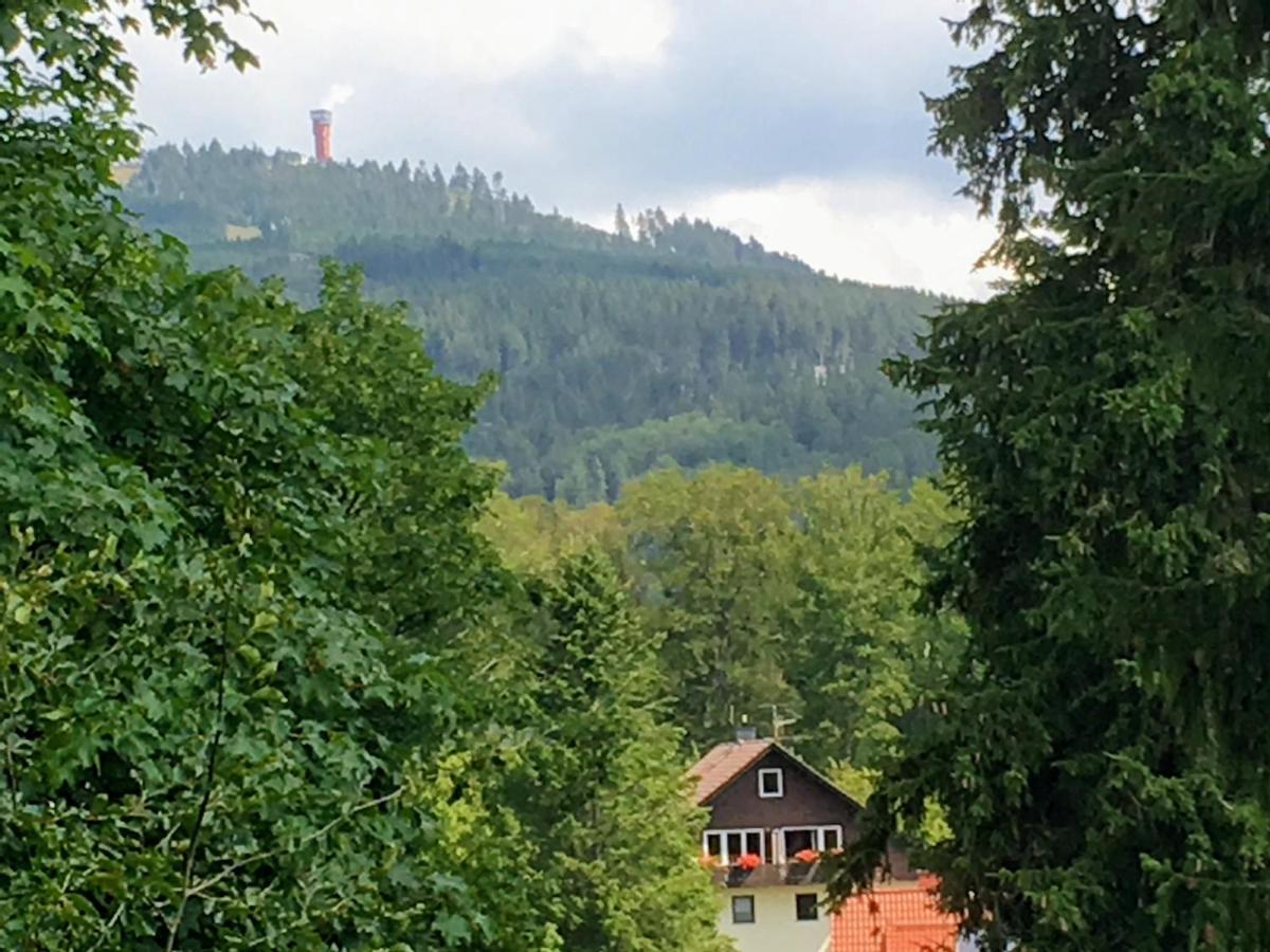 Waldhexe Appartement Braunlage